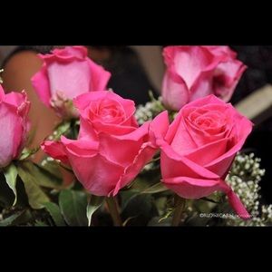 Meet your Posher, Ronda